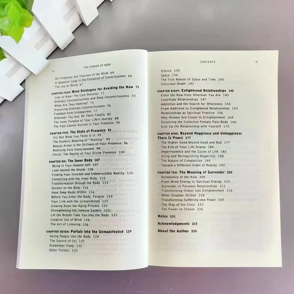 Eckhart Tolle The Power of Now - Spiritual Enlightenment Book, Mindfulness Meditation Guide Gift