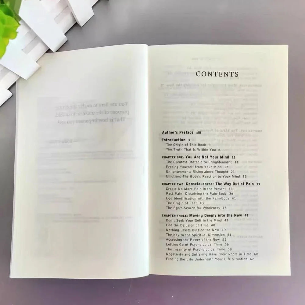 Eckhart Tolle The Power of Now - Spiritual Enlightenment Book, Mindfulness Meditation Guide Gift